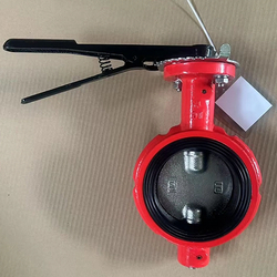 Butterfly valve_495_495.jpg