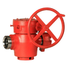  Plug Valve