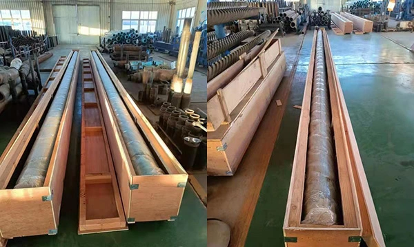 downhole motor